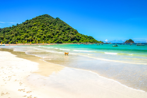 Pantai Selong Belanaq | Segara Travel Lombok